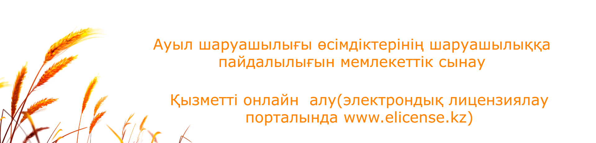РУСС@3x 1