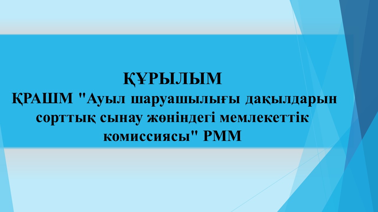 Слайд1