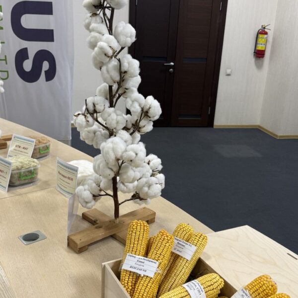 photo 2025 12 12 16 43 54