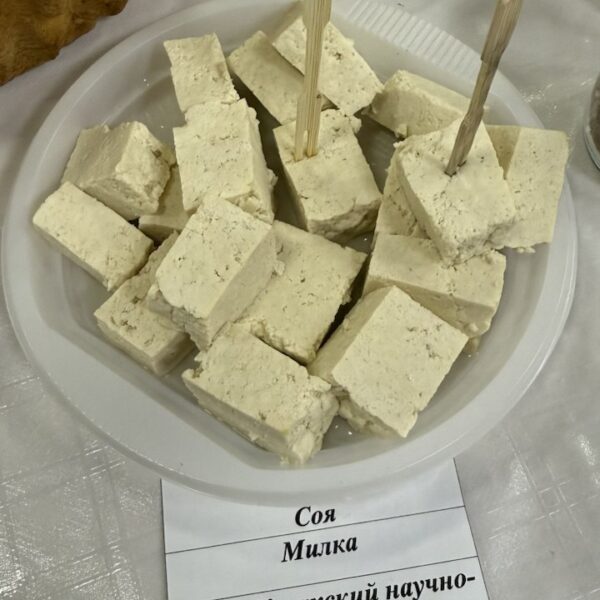 photo 2025 12 12 16 43 54 7